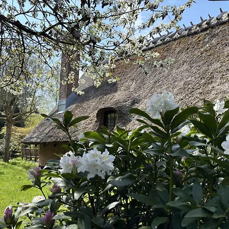 Charming Thatched Near The Water Vordingborg