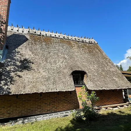 Zomerhuis Met Rieten Dak Bij Zee