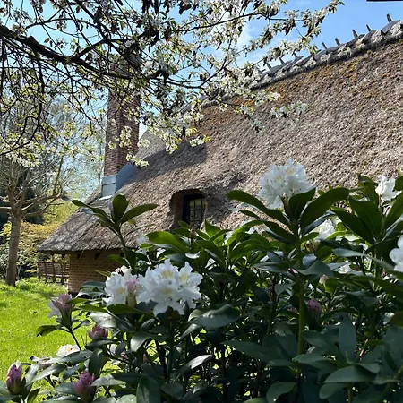 Zomerhuis Met Rieten Dak Bij Zee Vakantiehuis Vordingborg