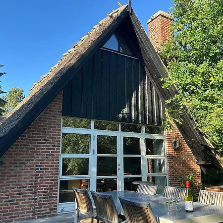 Vakantiehuis Zomerhuis Met Rieten Dak Bij Zee