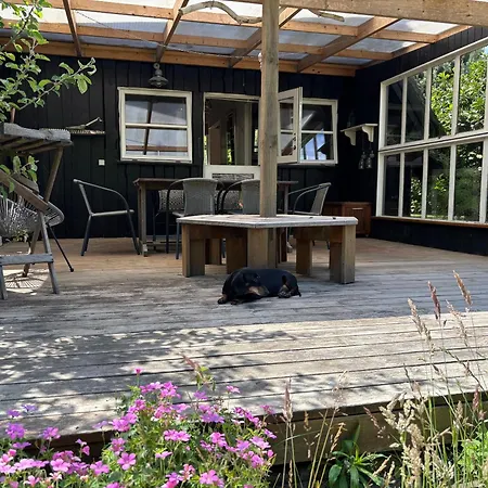 Zomerhuis Met Rieten Dak Bij Zee Vakantiehuis Vordingborg