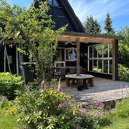 Zomerhuis Met Rieten Dak Bij Zee Vakantiehuis Vordingborg